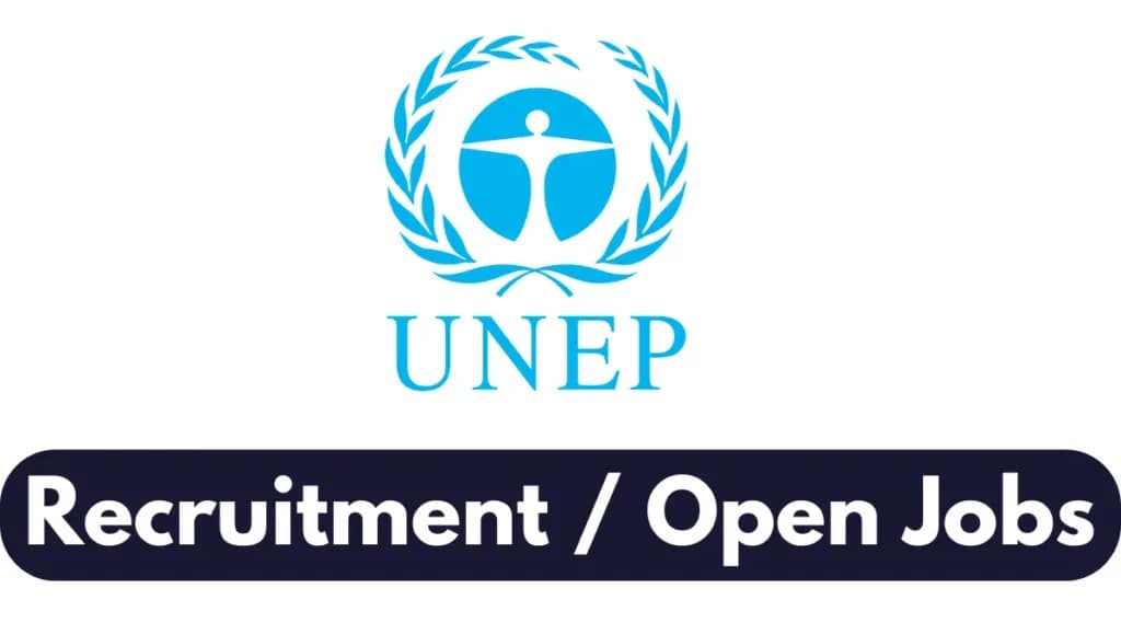 UNEP Announces New Consultancy Vacancies in Environmental Project Management and Evaluation