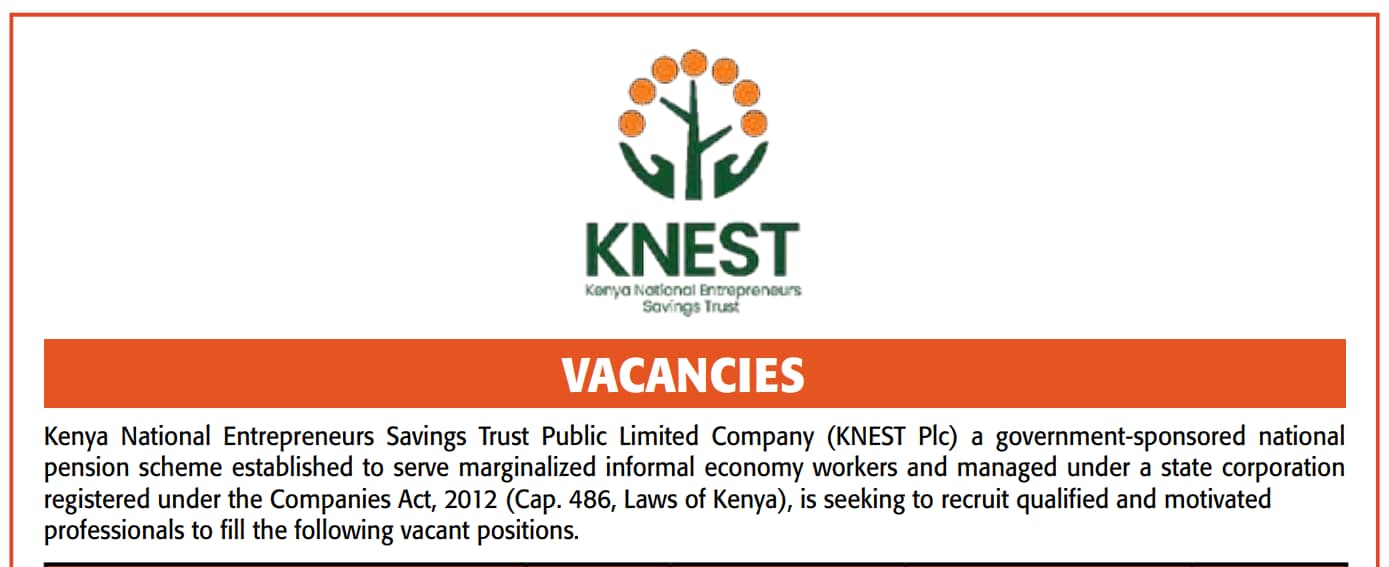 KNEST Recruitment 2025 Full Guide To Vacancies Requirements Application Process
