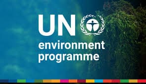 Apply Now: UNEP State of Finance for Nature Internship – Nairobi, Geneva, or Remote​